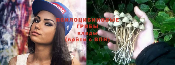 прущая мука Заводоуковск