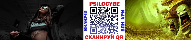 OMG ссылки  Назрань  Псилоцибиновые грибы Magic Shrooms 